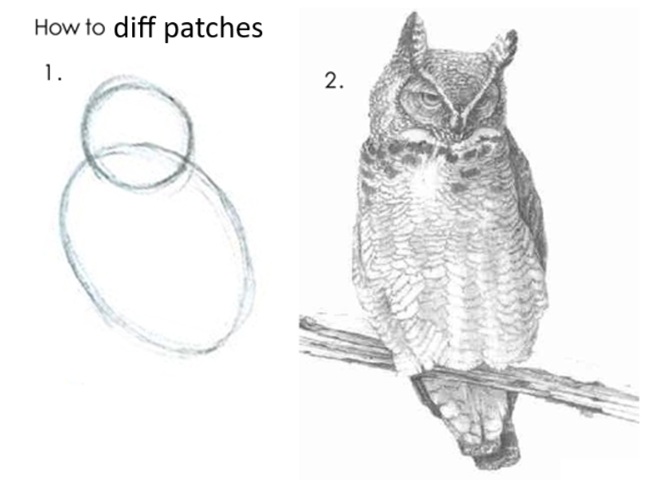 owl